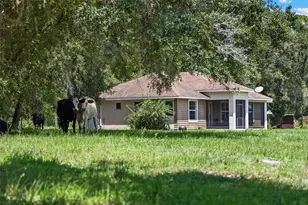 14765 US Hwy 41, Spring Hill, FL 34610 - Photo 3