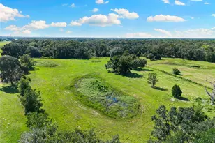 14765 US Hwy 41, Spring Hill, FL 34610 - Photo 37