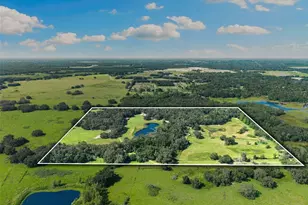 14765 US Hwy 41, Spring Hill, FL 34610 - Photo 59