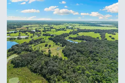 14765 US Highway 41, Spring Hill, FL 34610 - Photo 57