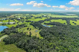 14765 US Hwy 41, Spring Hill, FL 34610 - Photo 57