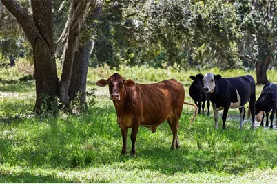 14765 US Highway 41, Spring Hill, FL 34610 - Photo 45