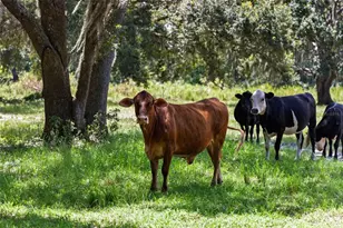 14765 US Hwy 41, Spring Hill, FL 34610 - Photo 45