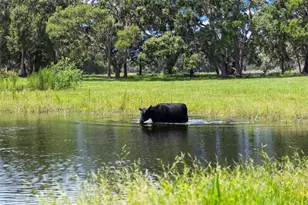 14765 US Hwy 41, Spring Hill, FL 34610 - Photo 35