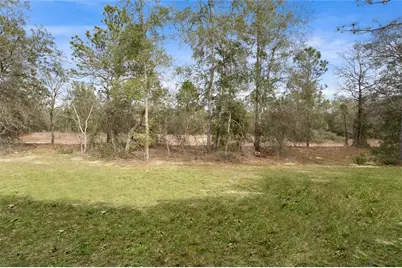 9461 N Sandree Drive, Citrus Springs, FL 34434 - Photo 39