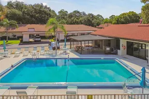 458 Exmoor Terrace, Dunedin, FL 34698 - Photo 59