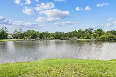 21170 Wistful Yearn Drive, Land O Lakes, FL 34637 - Photo 55