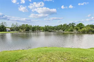 21170 Wistful Yearn Dr, Land O Lakes, FL 34637 - Photo 55