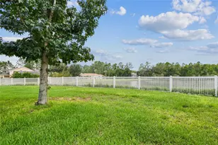 21170 Wistful Yearn Dr, Land O Lakes, FL 34637 - Photo 57