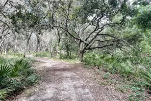 13405 Lake Monroe Pl, Riverview, FL 33579 - Photo 29