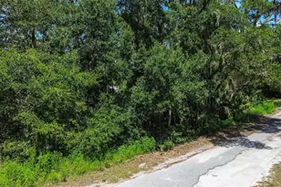 8683 N Bellflower Way, Crystal River, FL 34428 - Photo 1