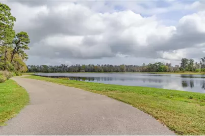 11855 Ranchers Gap Drive, Odessa, FL 33556 - Photo 67