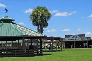 454 Cottage Cir, River Ranch, FL 33867 - Photo 33