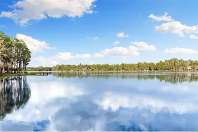 9116 Roberts Road, Odessa, FL 33556 - Photo 83