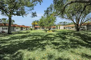 3116 Highlands Blvd, Palm Harbor, FL 34684 - Photo 39