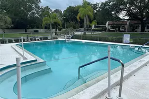 3116 Highlands Blvd, Palm Harbor, FL 34684 - Photo 43