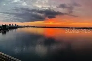 3301 Bayshore Blvd, Tampa, FL 33629 - Photo 87