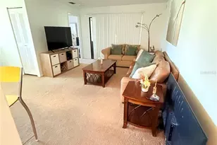 3001 58th Ave S, Saint Petersburg, FL 33712 - Photo 7