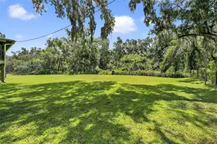 205 Wendel Ave, Lithia, FL 33547 - Photo 7