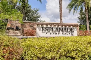 11740 Bitola Dr, Odessa, FL 33556 - Photo 55