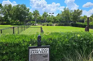 11740 Bitola Dr, Odessa, FL 33556 - Photo 75