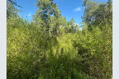 Tbd NE 137 Court, Fort Mc Coy, FL 32134 - Photo 7