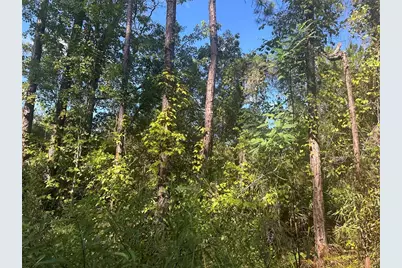 Tbd NE 137 Court, Fort Mc Coy, FL 32134 - Photo 1