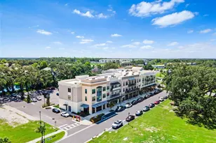 33471 Hamilton Hl Ln, Wesley Chapel, FL 33545 - Photo 41