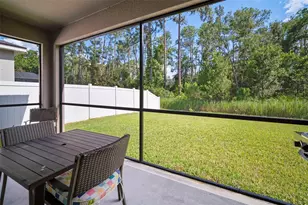 13223 Baby Belle Dr, Riverview, FL 33579 - Photo 35