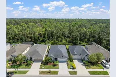 13223 Baby Belle Drive, Riverview, FL 33579 - Photo 5