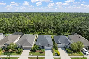 13223 Baby Belle Dr, Riverview, FL 33579 - Photo 5