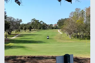 2480 Del Rio Way, Dunedin, FL 34698 - Photo 33