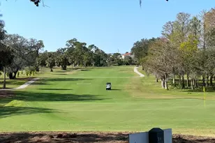 2480 Del Rio Way, Dunedin, FL 34698 - Photo 33