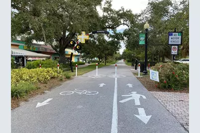 2480 Del Rio Way, Dunedin, FL 34698 - Photo 29