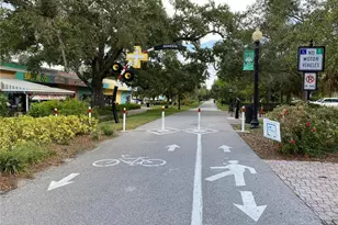 2480 Del Rio Way, Dunedin, FL 34698 - Photo 29