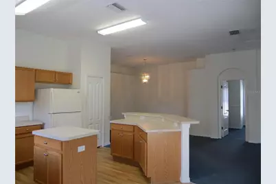 1012 Torreya Way, Odessa, FL 33556 - Photo 11