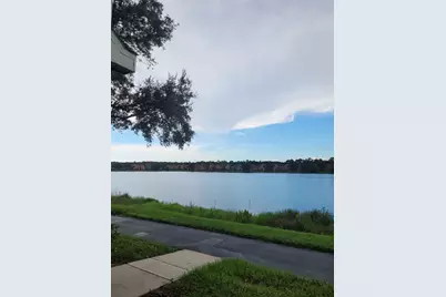 9732 Lake Chase Island Way, Tampa, FL 33626 - Photo 3