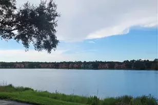 9732 Lake Chase Island Way, Tampa, FL 33626 - Photo 3