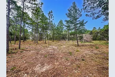 0 Sunshine Grove Road, Brooksville, FL 34613 - Photo 11