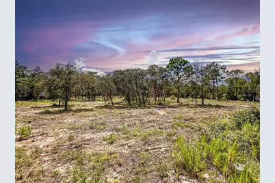 0 Sunshine Grove Road, Brooksville, FL 34613 - Photo 9