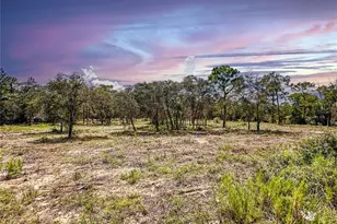 0 Sunshine Grove Rd, Brooksville, FL 34613 - Photo 9