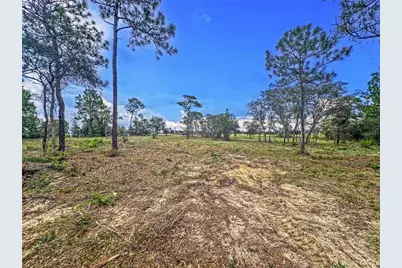 0 Sunshine Grove Road, Brooksville, FL 34613 - Photo 13