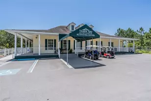 10661 Belmullet Dr, San Antonio, FL 33576 - Photo 51