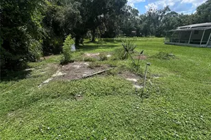 2903 Williams Blvd, Valrico, FL 33596 - Photo 11