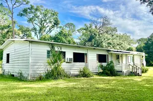 2903 Williams Blvd, Valrico, FL 33596 - Photo 3
