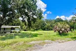 2903 Williams Blvd, Valrico, FL 33596 - Photo 45