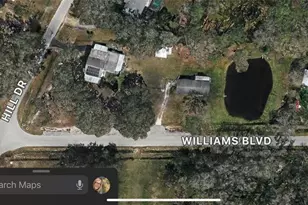 2903 Williams Blvd, Valrico, FL 33596 - Photo 49