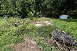 2903 Williams Blvd, Valrico, FL 33596 - Photo 11