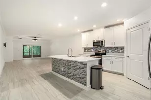 16664 Shell Bay Dr, Land O Lakes, FL 34638 - Photo 3