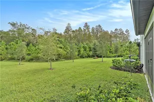 16664 Shell Bay Dr, Land O Lakes, FL 34638 - Photo 17